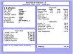 moneysoft payslip