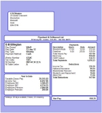 moneysoft payslip