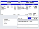 pegasus payslip