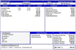 sage payslip